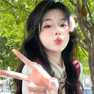 汽车女窃贼